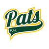 Mount Forest Patriots