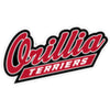 Orillia Terriers