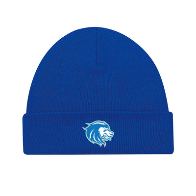 ABR - Tuque With Cuff