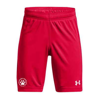 LFA - UA Youth Golazo 3.0 Shorts