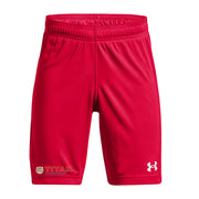 TDP - UA Youth Golazo 3.0 Shorts