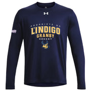 LDG - UA Men's Team Tech LS