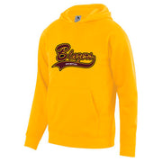 BGSA - Augusta 60/40 Youth Fleece Hoodie