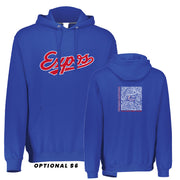 DBA - Adult Russell  Dri-Power Fleece Hoodie - TEAMS