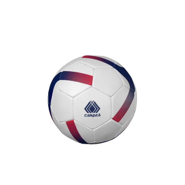 CUSTOM SOCCER BALLS | BALLONS DE FOOTBALL PERSONNALISÉS Tempest Soccer Ball TEMPEST SOCCER BALL | TEMPESTAD DE FOOTBALL TEMPÊTE - INTERMEDIATE BALLS / BALLONS INTERMÉDIAIRES. (x 25)