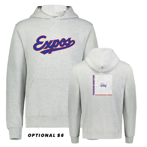 DBA - Youth Russell Dri-Power Fleece Hoodie - TEAMS