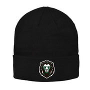 NDL - UA Roll Up Beanie