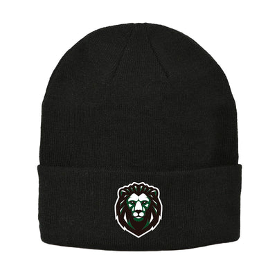 NDL - UA Roll Up Beanie