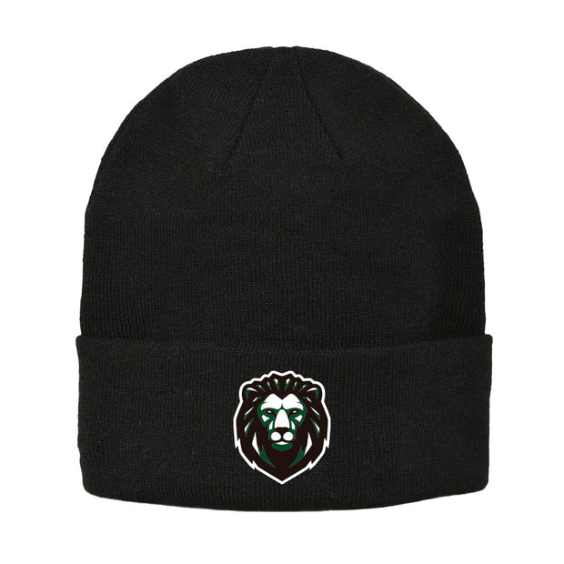 NDL - UA Roll Up Beanie