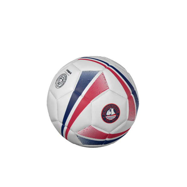 CUSTOM SOCCER BALLS | BALLONS DE FOOTBALL PERSONNALISÉS FIRESTORM RECREATIONAL BALLS | BALLONS RÉCRÉATIVES - 32 Panel. (x 300)