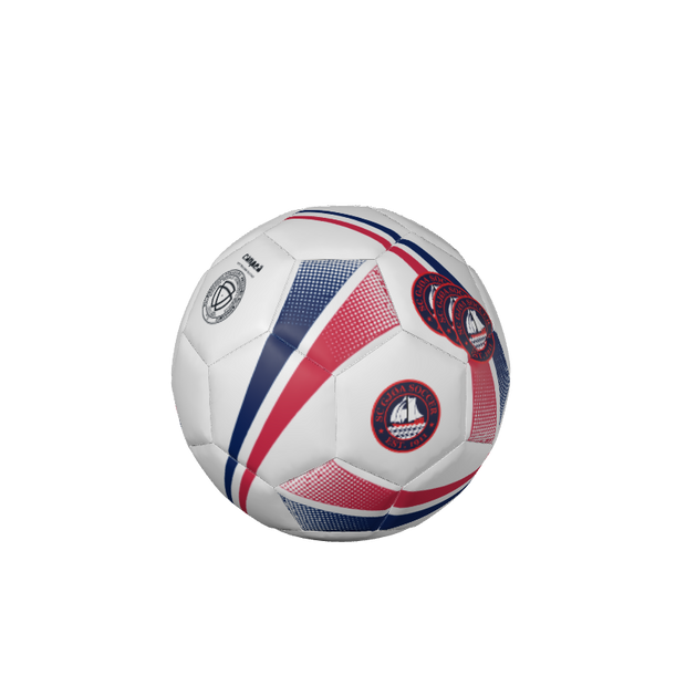 CUSTOM SOCCER BALLS | BALLONS DE FOOTBALL PERSONNALISÉS FIRESTORM RECREATIONAL BALLS | BALLONS RÉCRÉATIVES - 32 Panel. (x 300)