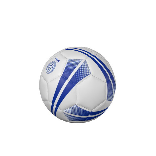 CUSTOM SOCCER BALLS | BALLONS DE FOOTBALL PERSONNALISÉS FIRESTORM PROFESSIONAL MATCH BALL | BALLON DE MATCH PROFESSIONELLE - 32 Panel. (x 25)