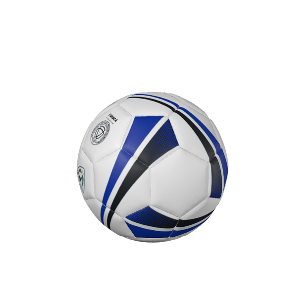 CUSTOM SOCCER BALLS | BALLONS DE FOOTBALL PERSONNALISÉS FIRESTORM INTERMEDIATE BALLS | BALLONS INTERMÉDIAIRES - 32 Panel / Panneau. (x 25)