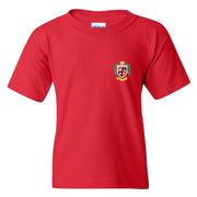 BRFC - Gildan Heavy Cotton T-shirt Youth