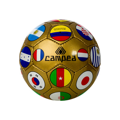 World Cup Ball